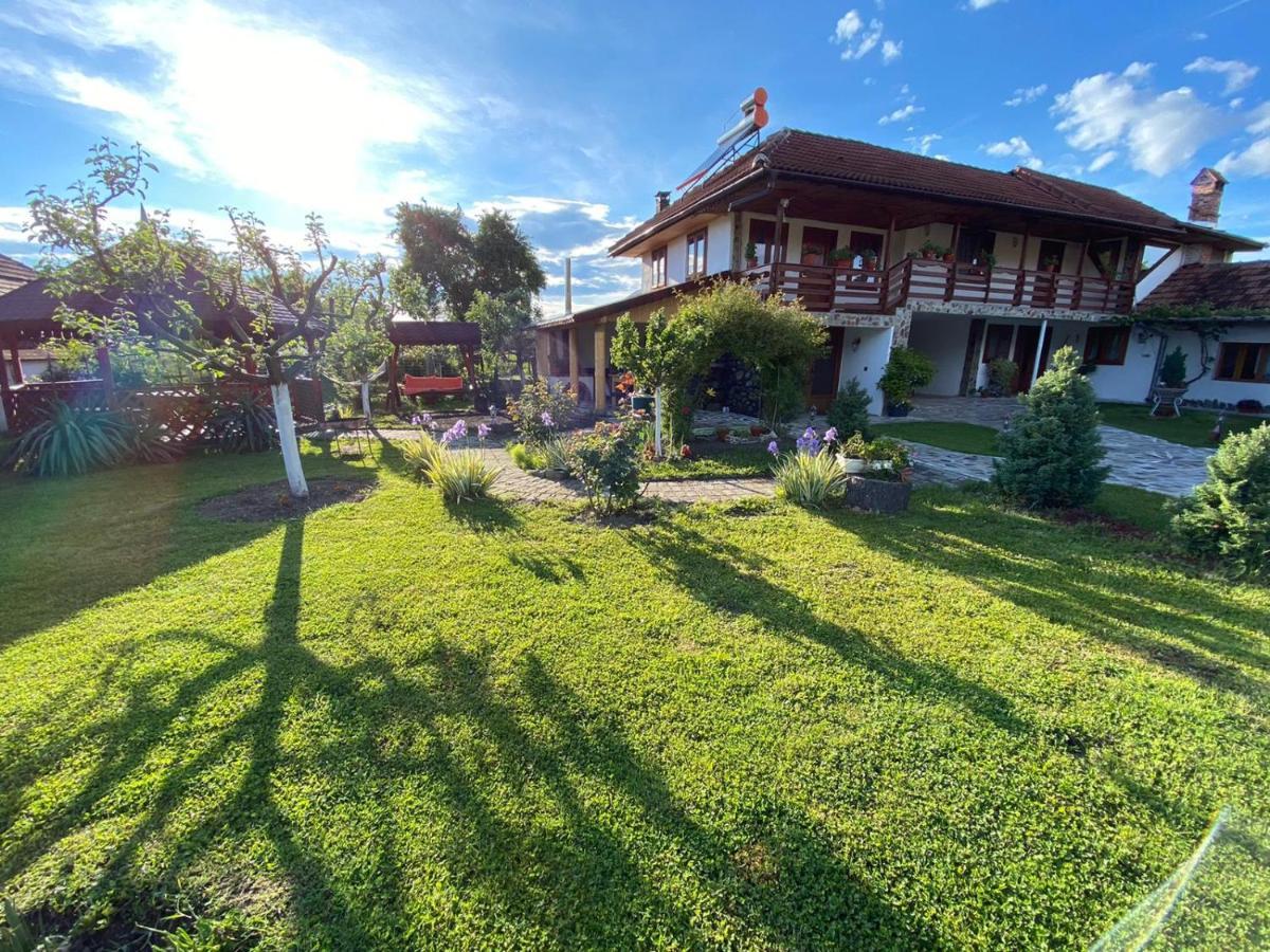 Casa De Vacanta Motata Новачі-Страіні Екстер'єр фото
