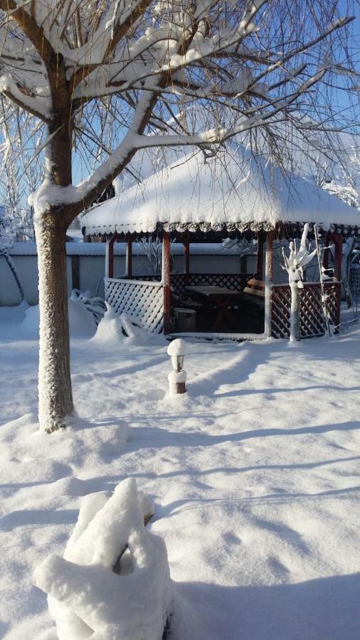 Casa De Vacanta Motata Новачі-Страіні Екстер'єр фото
